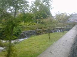 millstreet 10290.jpg
